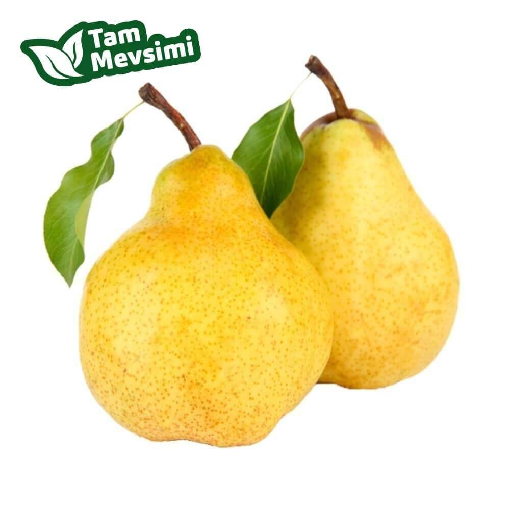 ARMUT DEVECİ (ORTA BOY)