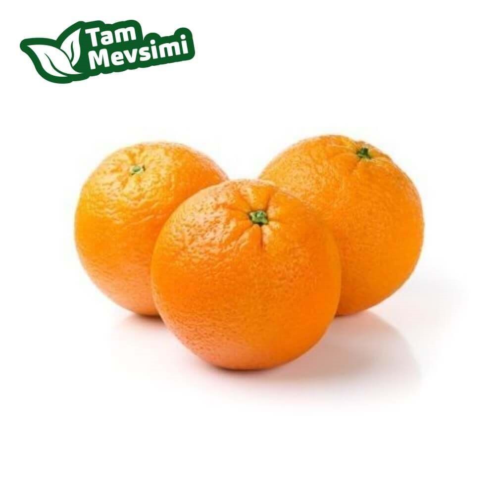 PORTAKAL YEMELİK WASHİNGTON