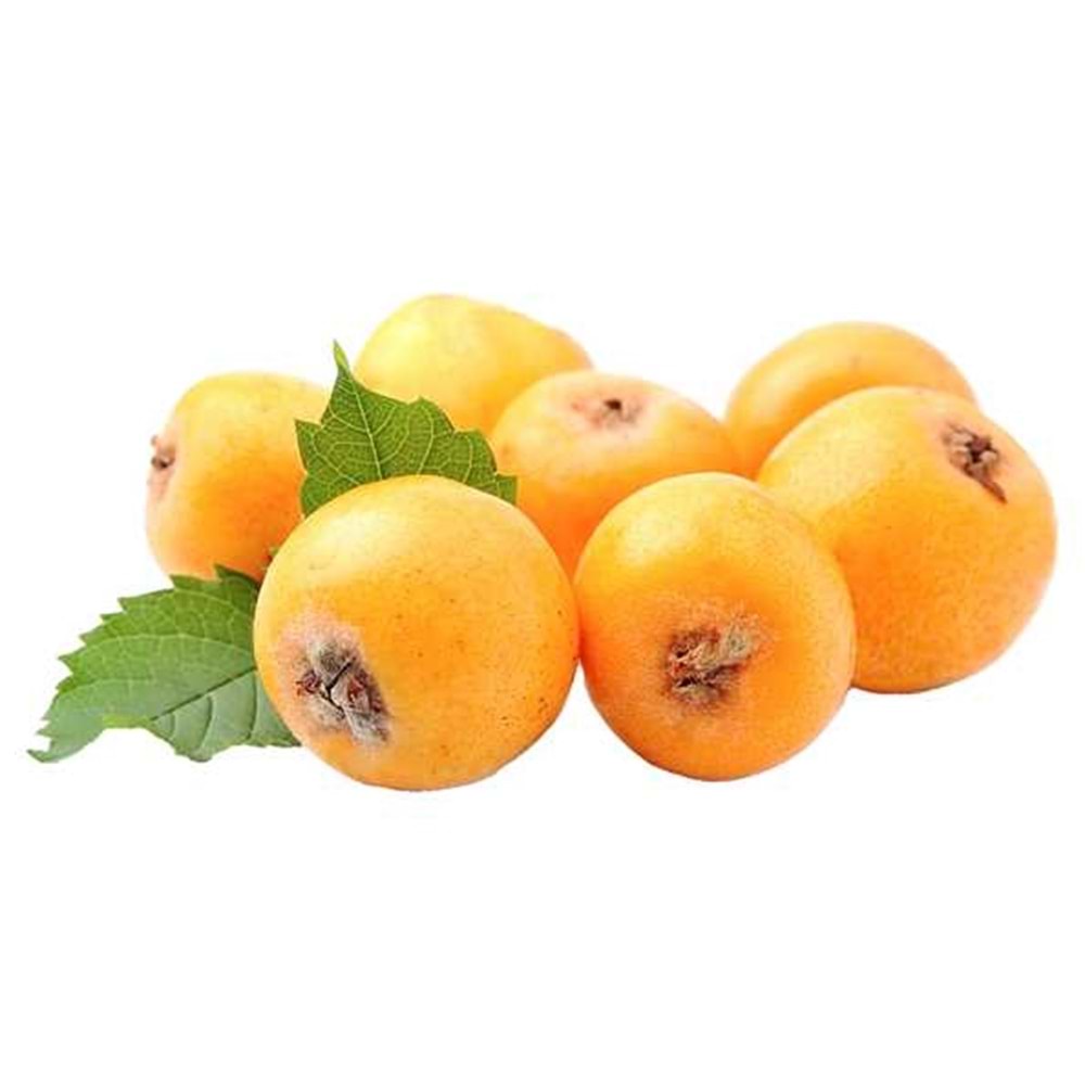 ERİK MALTA