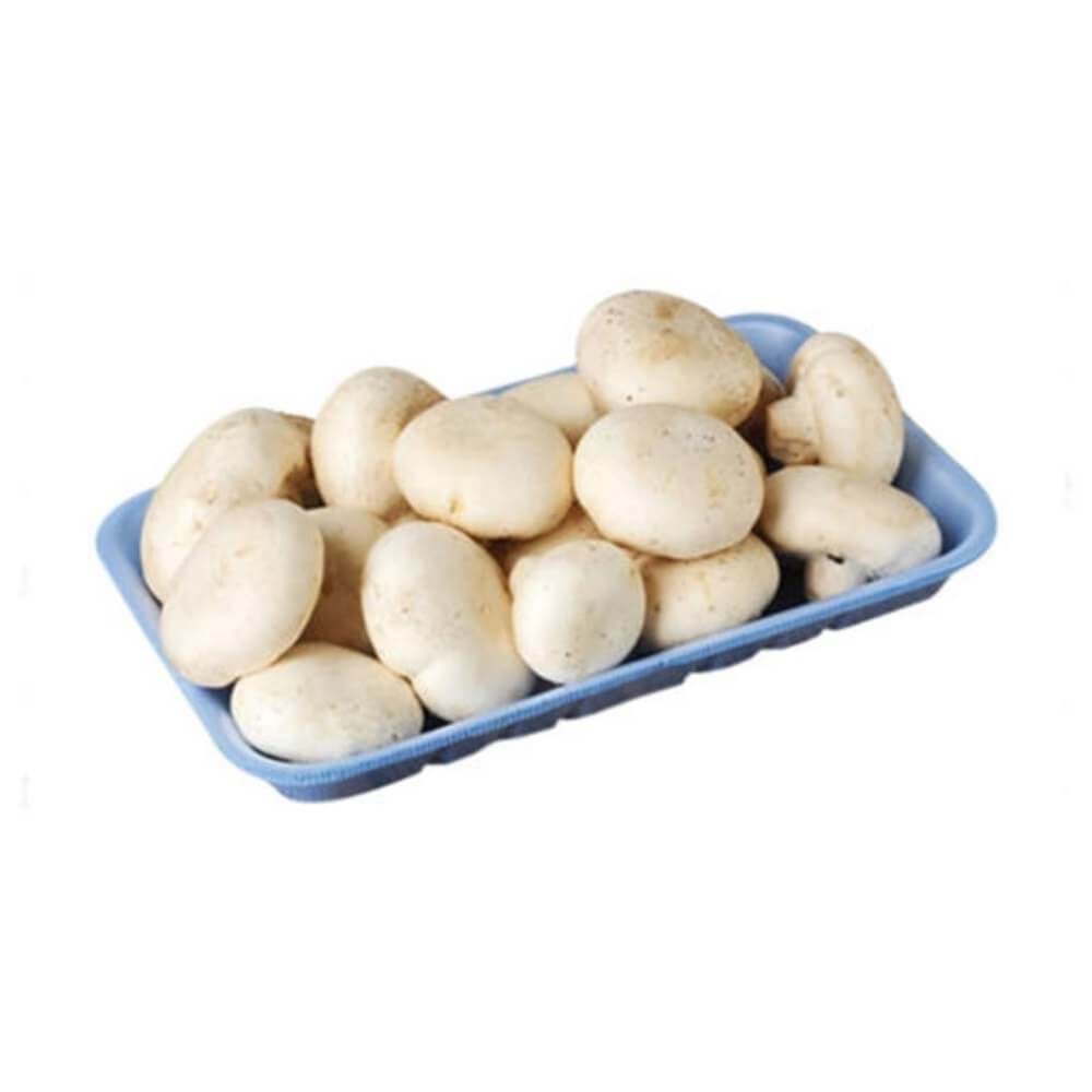 KÜLTÜR MANTAR 400 GR