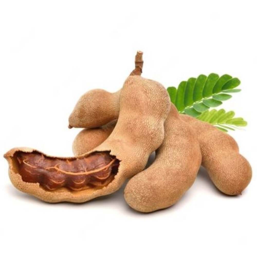 DEMİRHİNDİ (VERİTA)