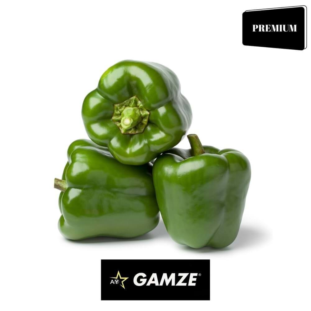 BİBER DOLMALIK (GAMZE)