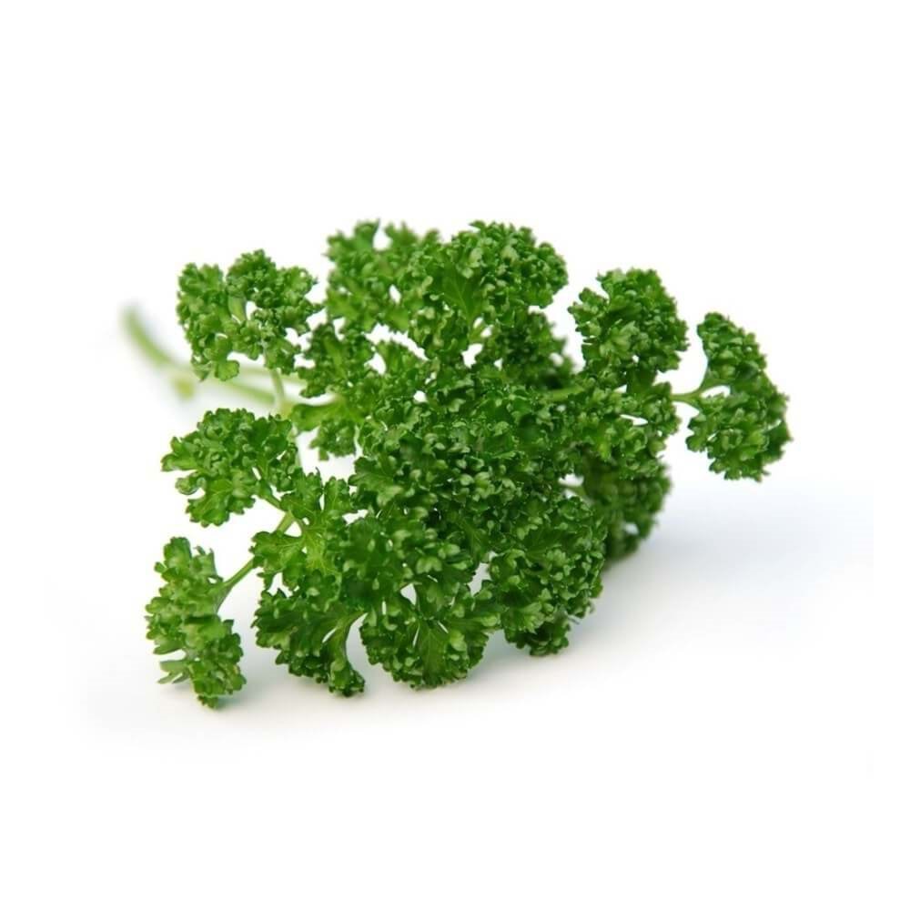 FRENK MAYDANOZ PAKET (25 gr)