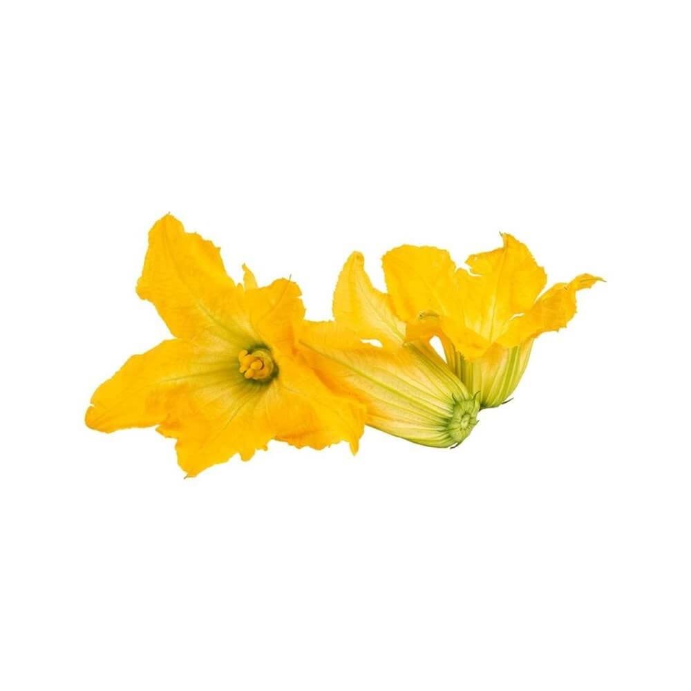 KABAK ÇİÇEĞİ PAKET