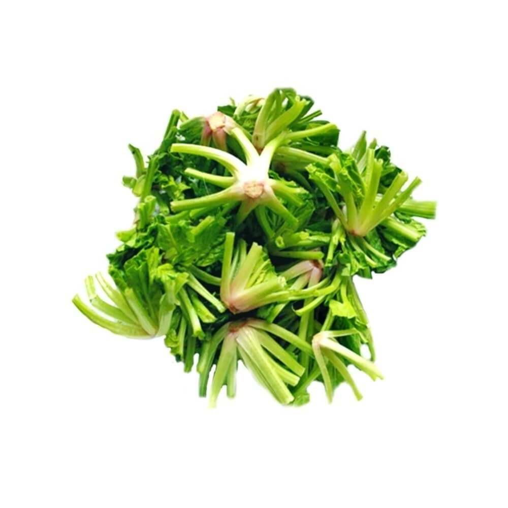 KÖK ISPANAK PAKET (500gr)