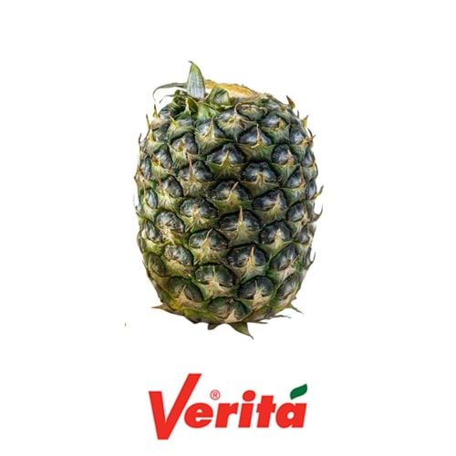 ANANAS YAPRAKSIZ (VERİTA)