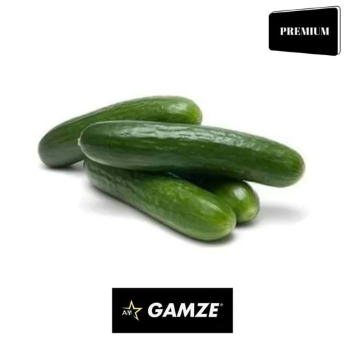 SALATALIK ÇENGELKÖY (GAMZE)