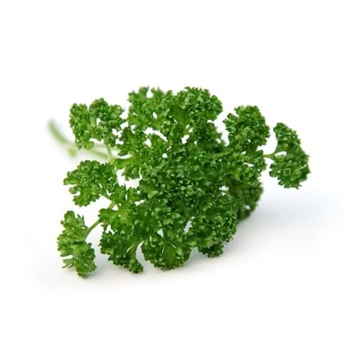 FRENK MAYDANOZ PAKET (25 gr)