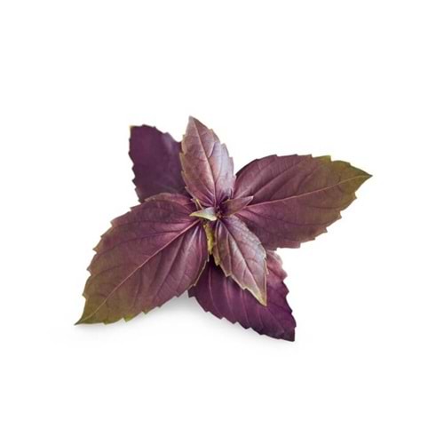 REYHAN PAKET (25 gr)