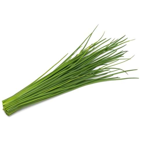 FRENK SOĞANI PAKET (25 gr)