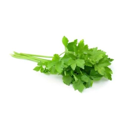 KİŞNİŞ PAKET (25 gr)