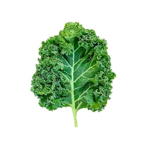 KALE OTU PAKET (500 gr)