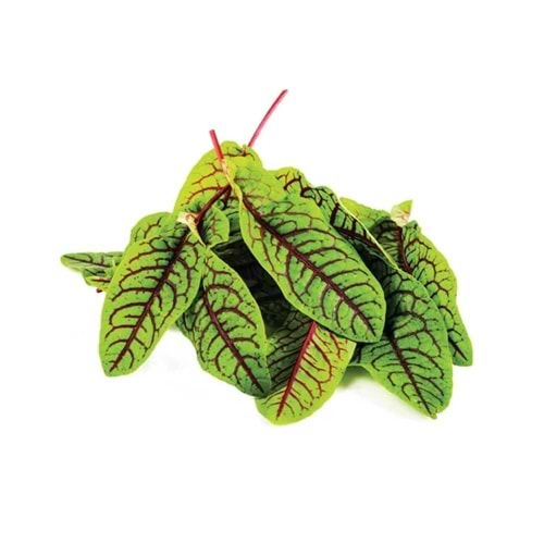 KANLI KUZUKULAĞI PAKET (500 gr)