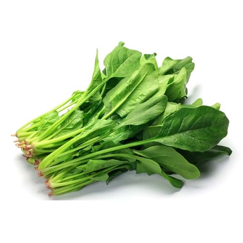 YIKANMIŞ ISPANAK PAKET (500gr)