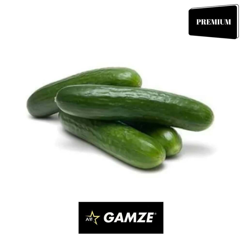 SALATALIK ÇENGELKÖY (GAMZE)