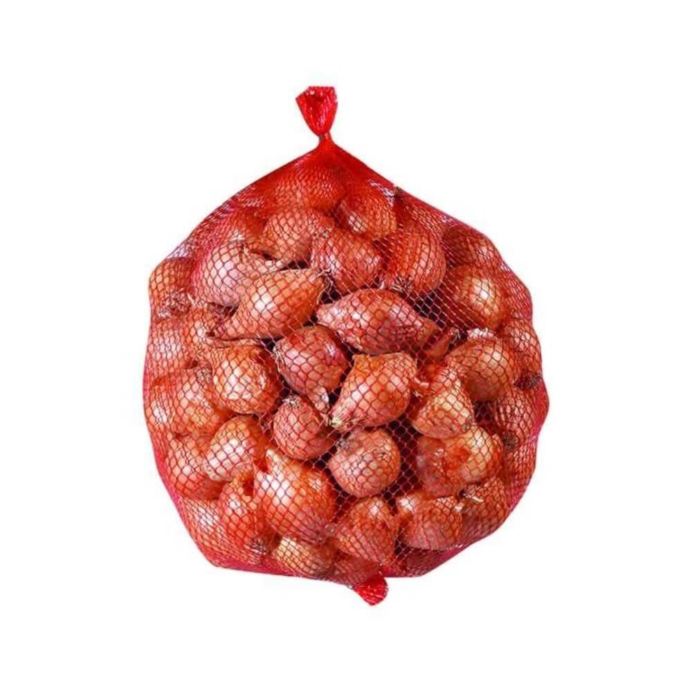 SOĞAN ARPACIK (İNCE)